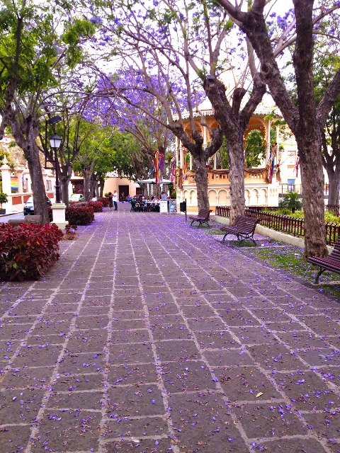 Autoría de las fotos publicadas en nuestro&nbsp;Boletín