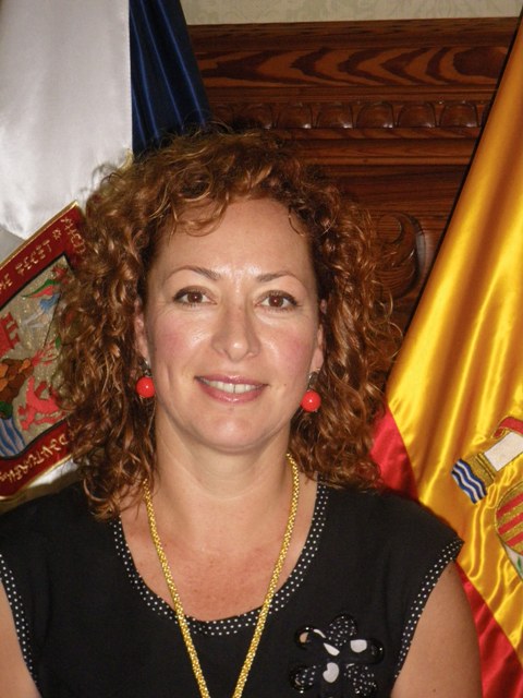 Solicitud al Cabildo de Tenerife para la intervención en las vías insulares en este&nbsp;municipio