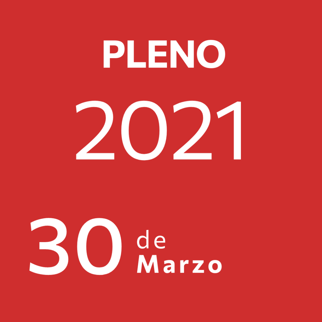 Pleno 30 Marzo&nbsp;2021