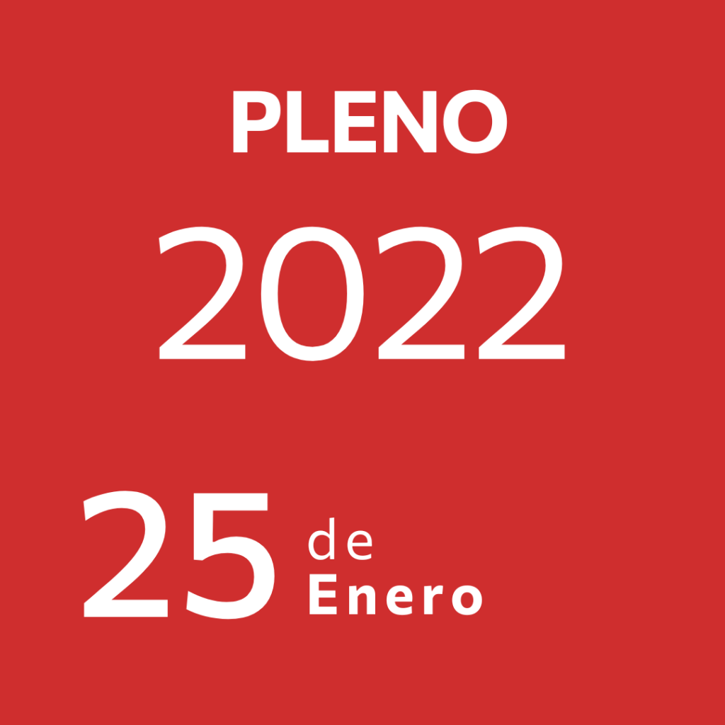 Pleno 25 Enero&nbsp;2022