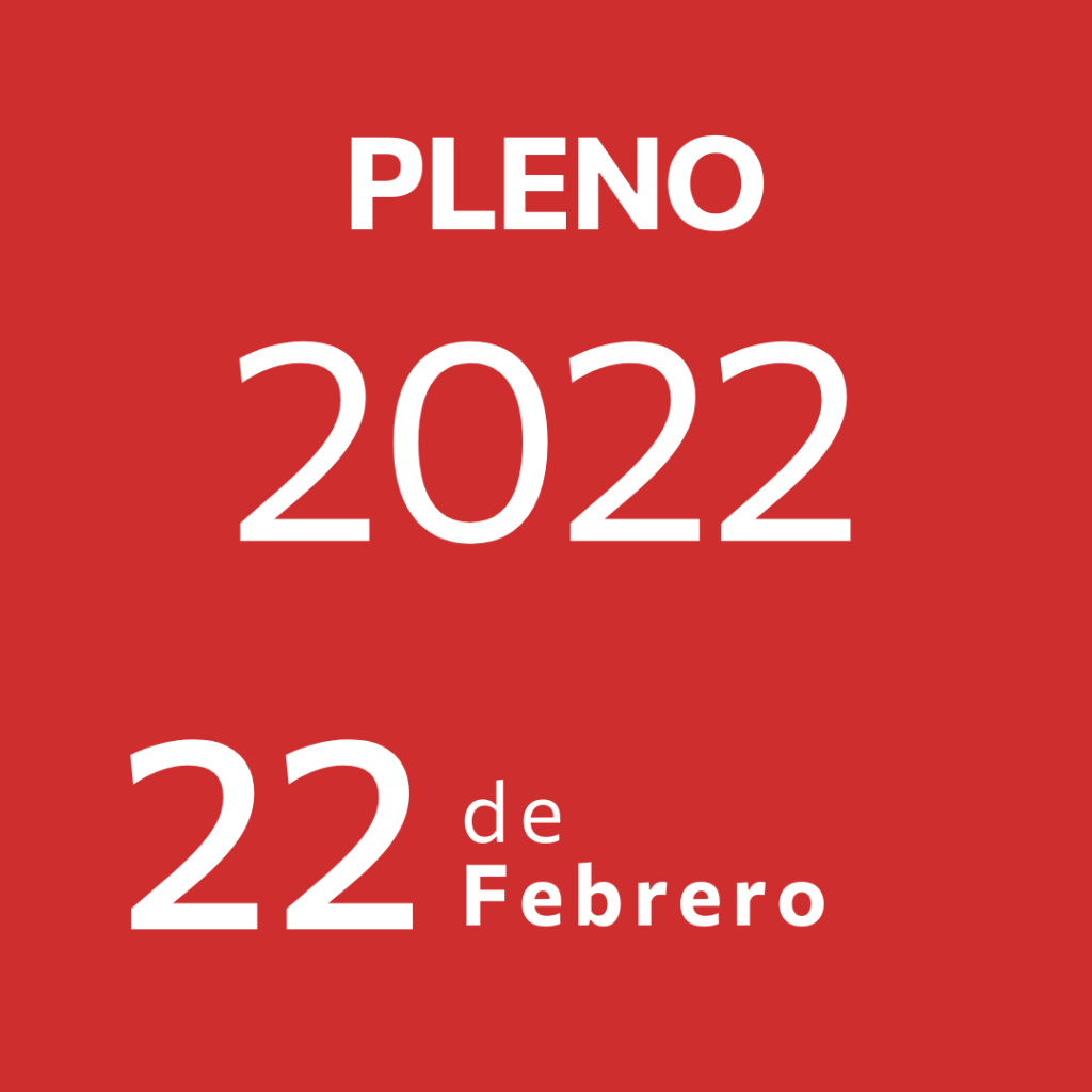 Pleno 22 Febrero&nbsp;2022
