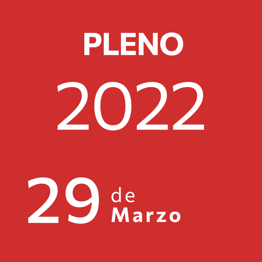 Pleno 29 Marzo&nbsp;2022