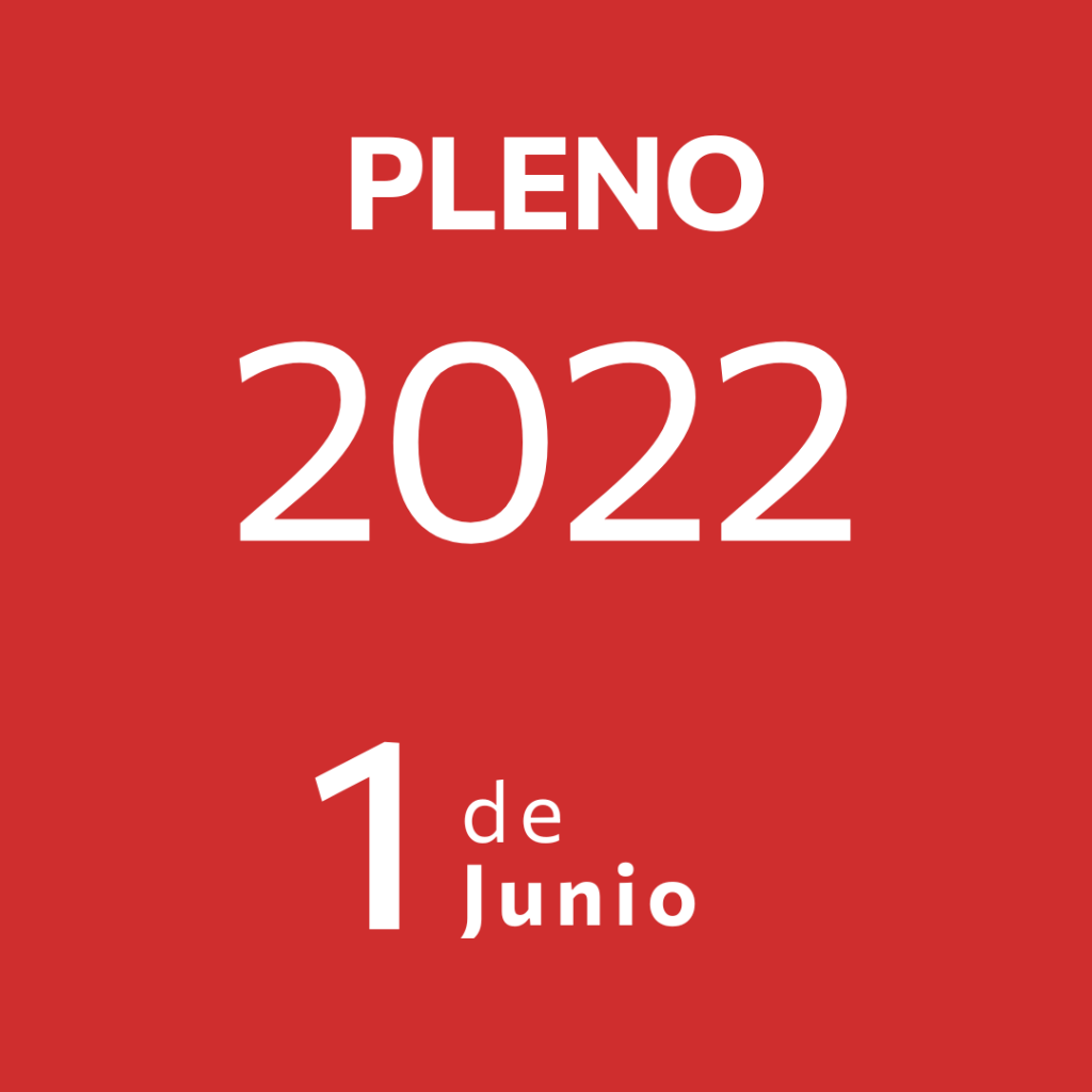 Pleno 1 Junio&nbsp;2022
