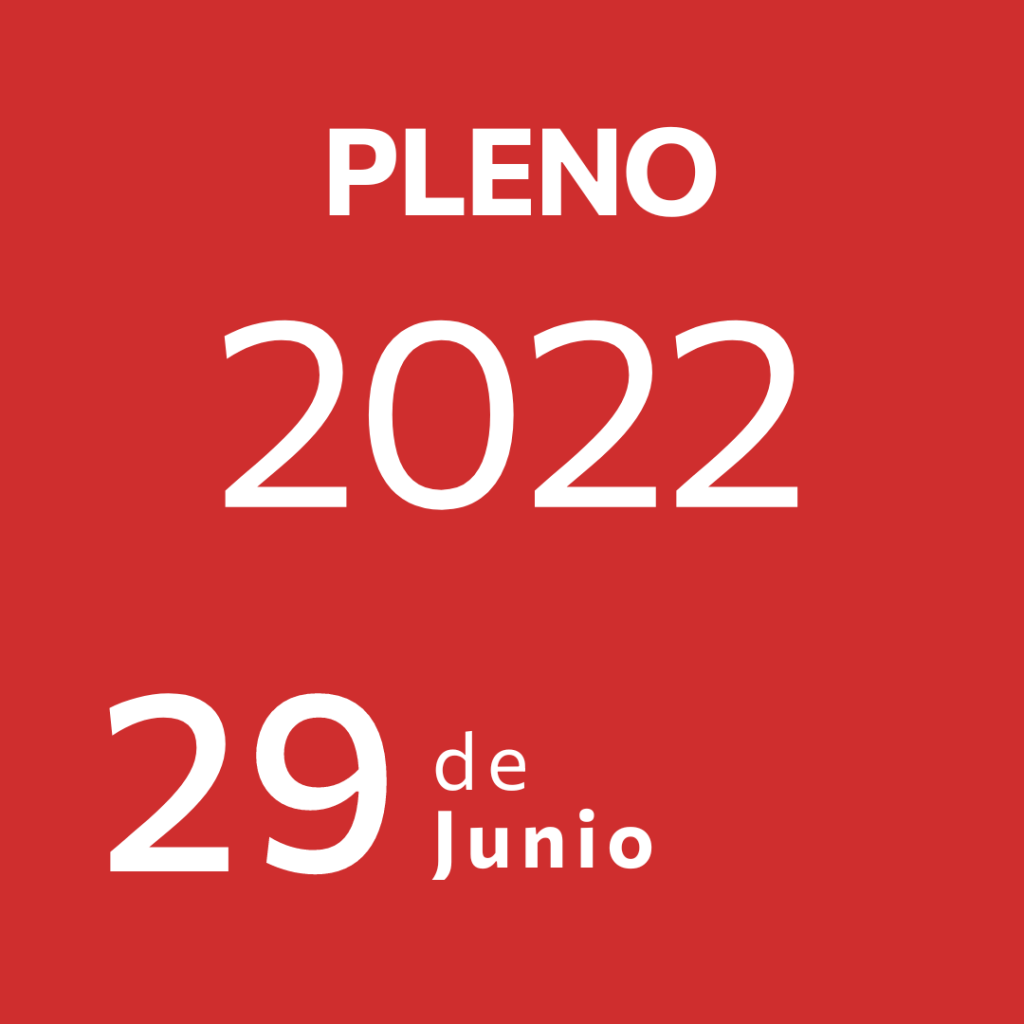 Pleno 29 Junio&nbsp;2022