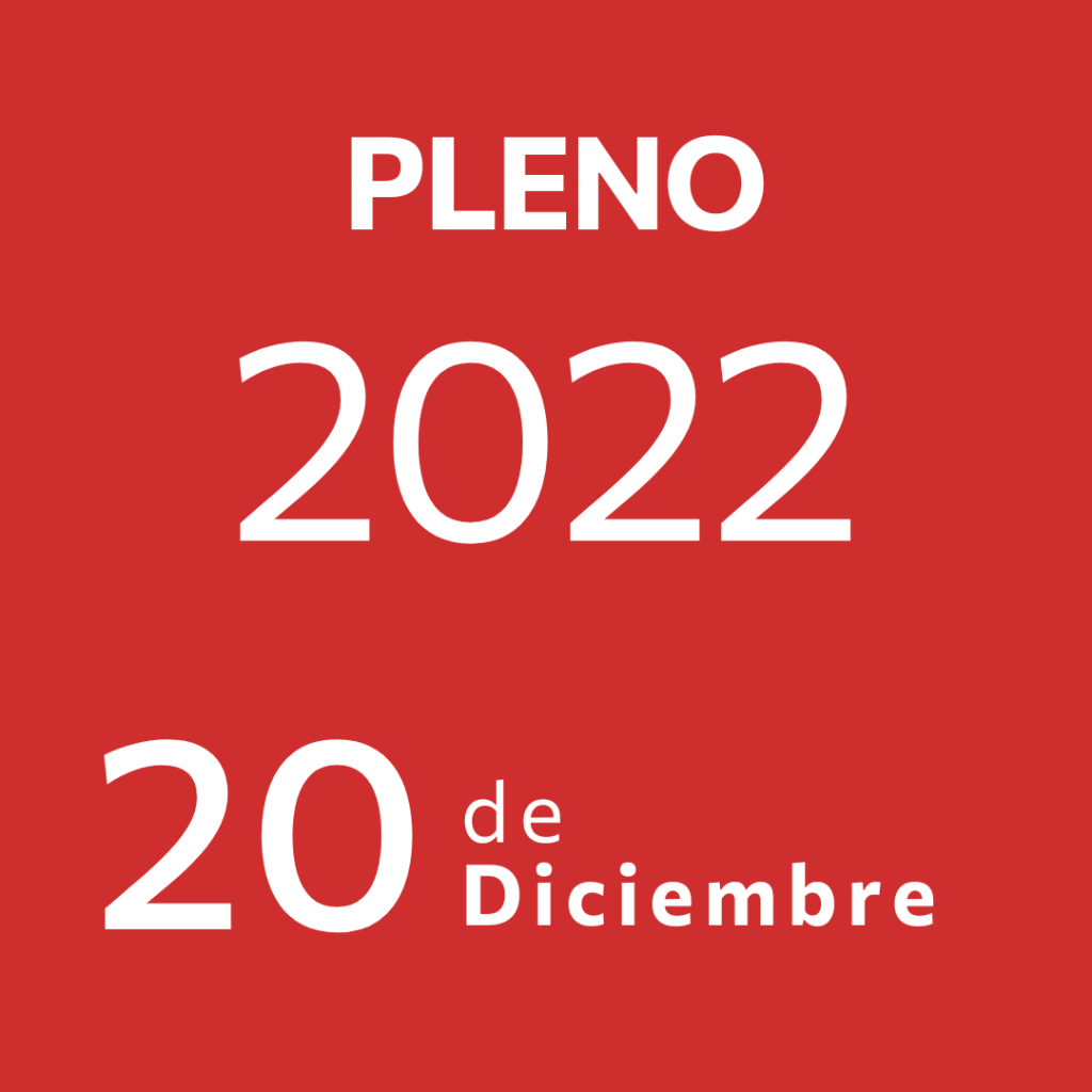 Pleno 20 Diciembre&nbsp;2022