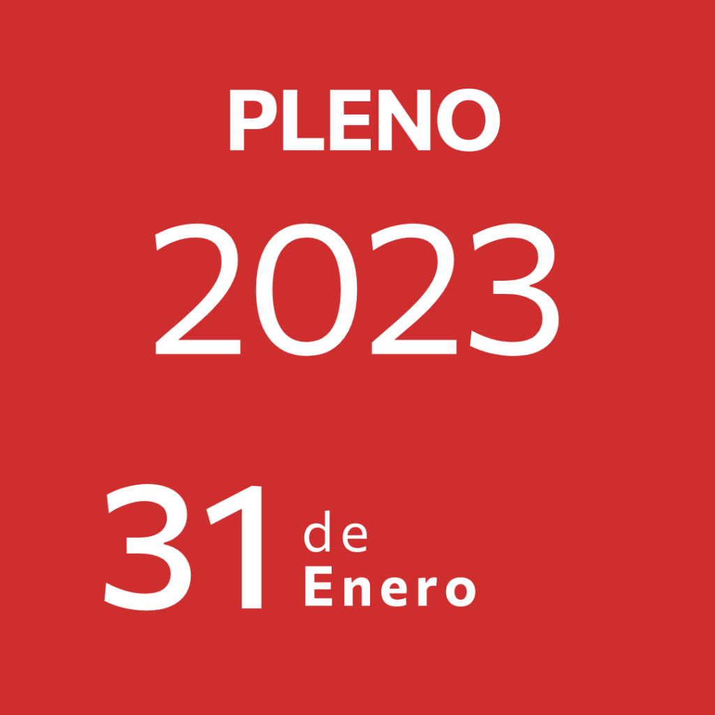 Pleno 31 Enero&nbsp;2023