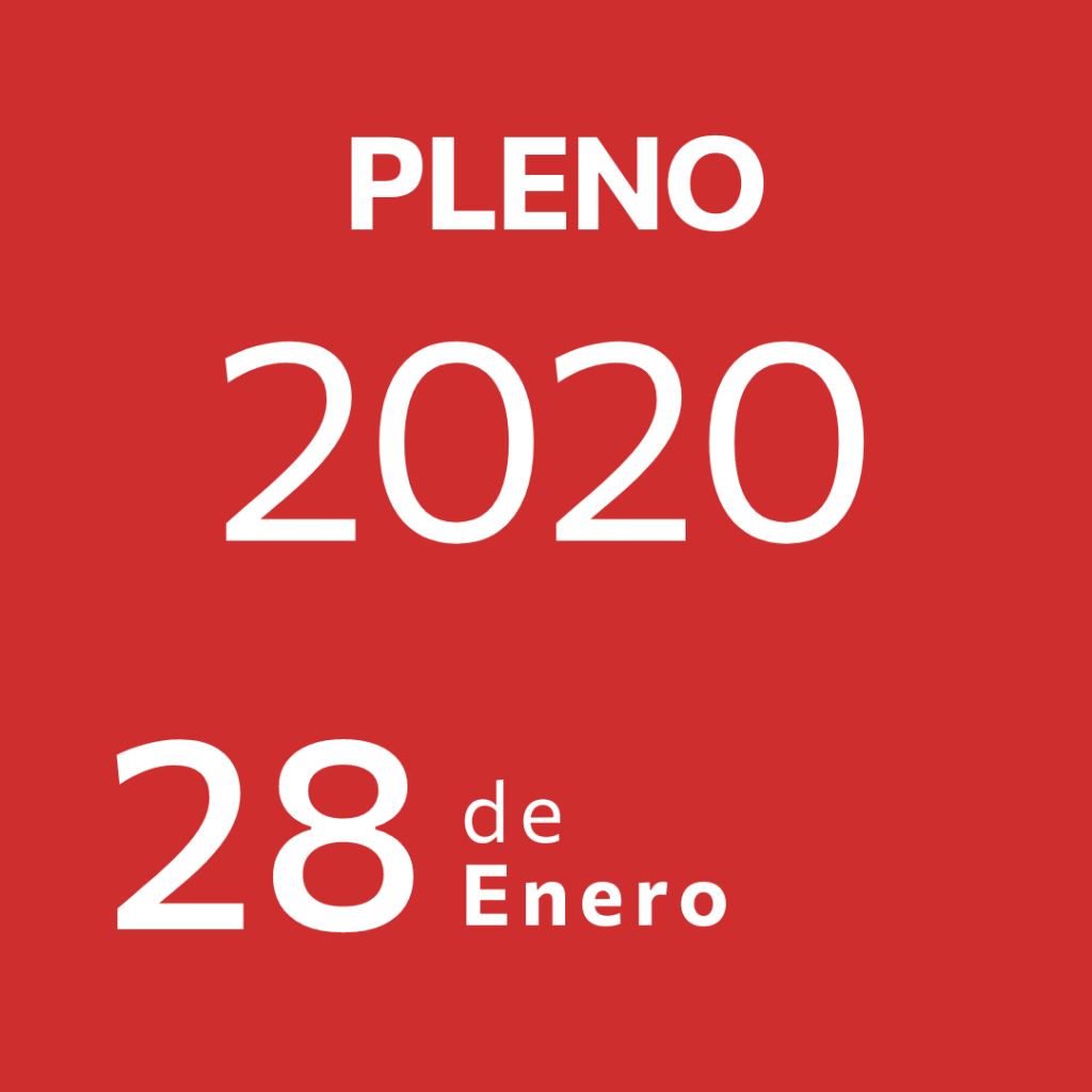 Pleno 28 Enero&nbsp;2020