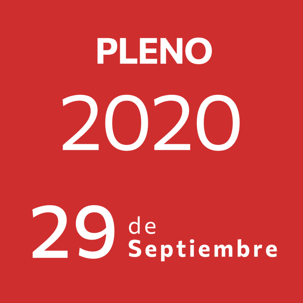 Pleno 29 Septiembre&nbsp;2020