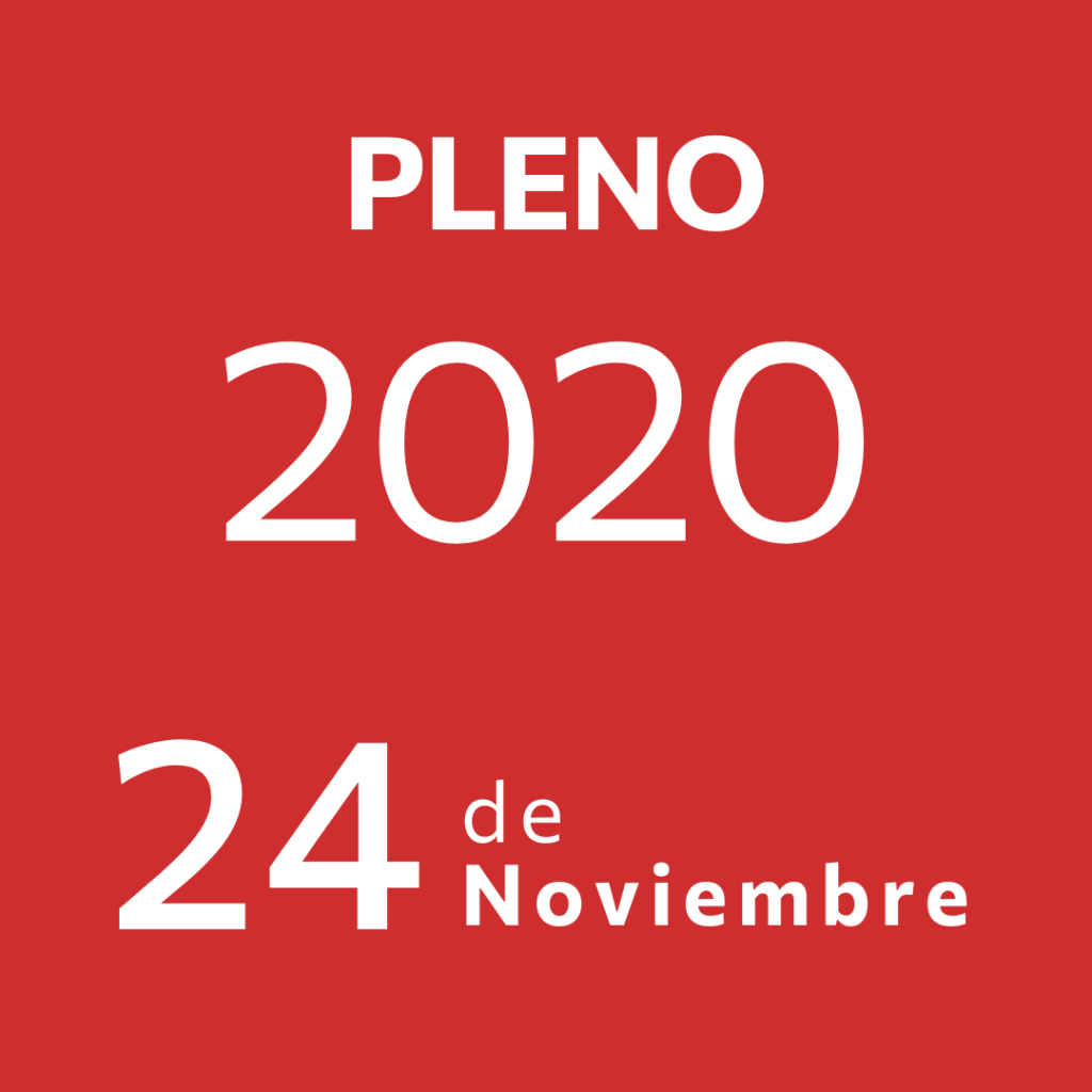 Pleno 24 Noviembre&nbsp;2020